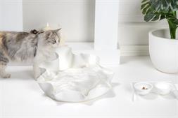 Interior Art Design