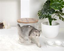 Interior Art Design