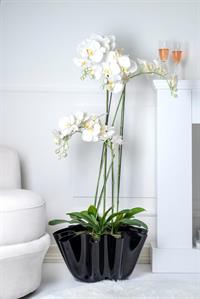 Interior Art Design
