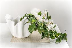 Vaso DAISY bianco, linea Drappeggi, catalogo IPlex, codice I00525013P01