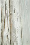 Interior Art Design