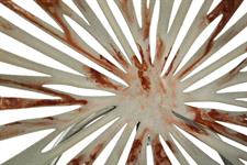 Interior Art Design