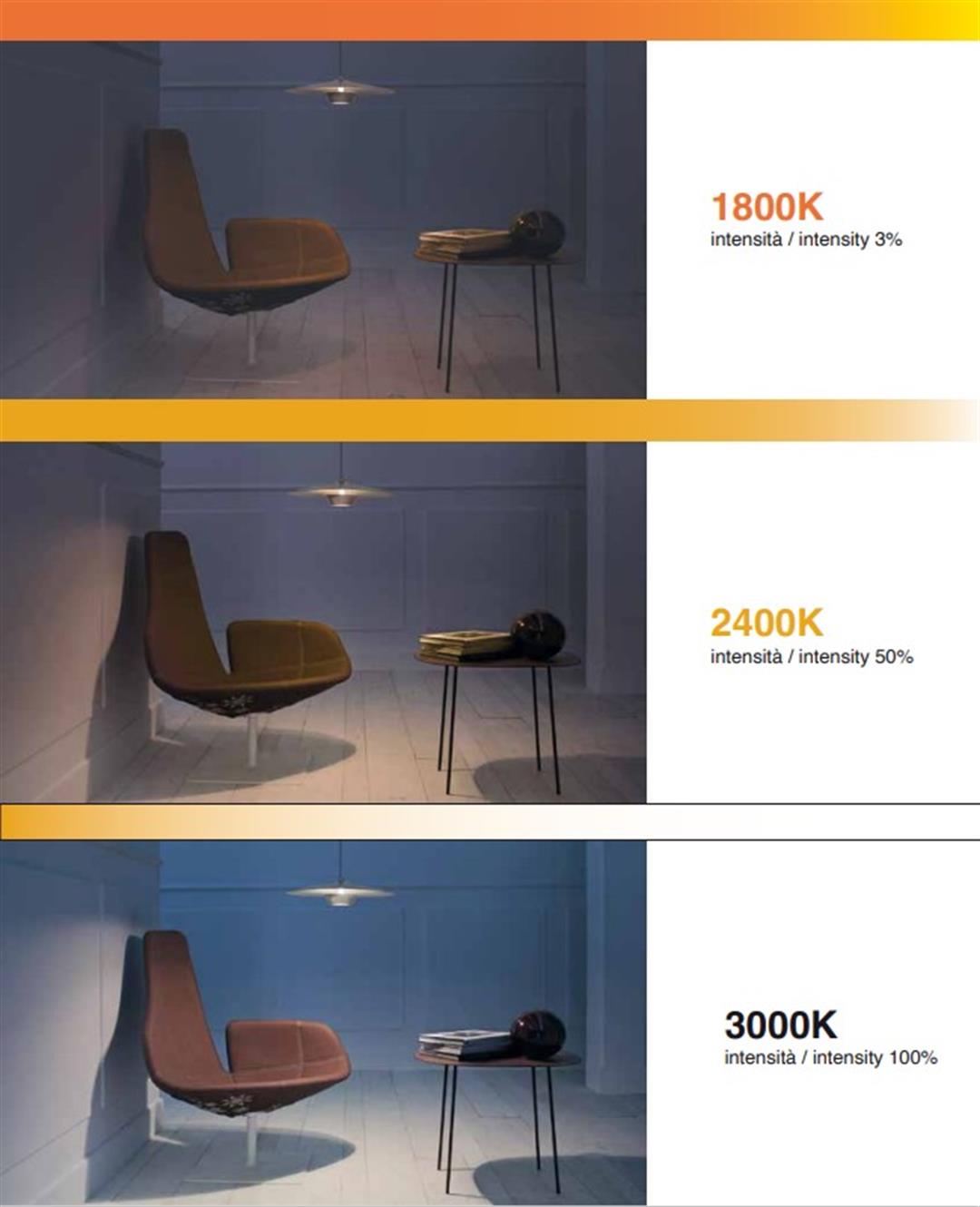 Interior Art Design